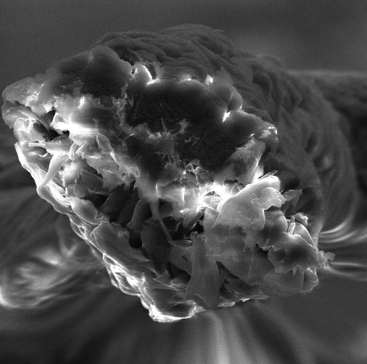 Electron-microscope image of a fracture surface