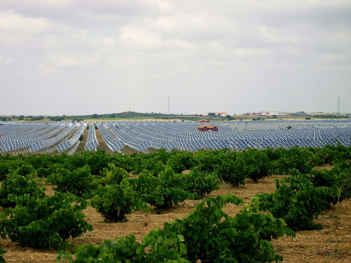A solar farm beside farmland